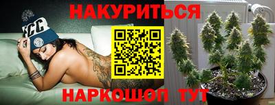 прущие грибы Пугачёв