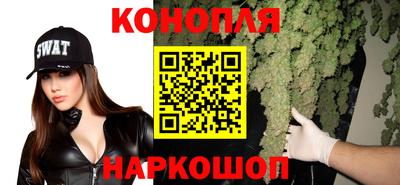 прущие грибы Пугачёв