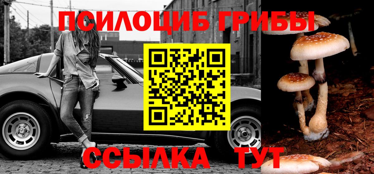 Галлюциногенные грибы Cubensis  Вход с VPN  Соликамск  Галлюциногенные грибы Cubensis 