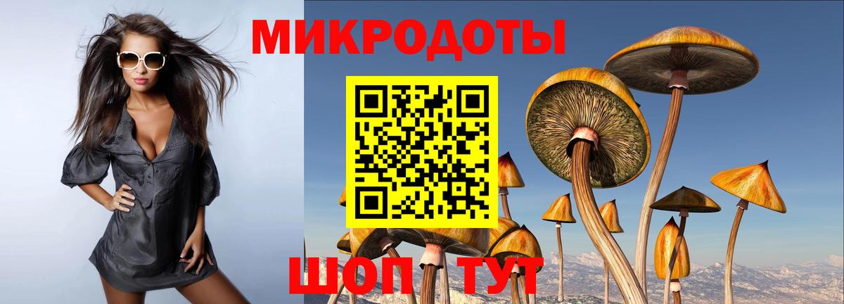 Галлюциногенные грибы Cubensis Соликамск